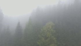 VIDEO Un nou ciclon mediteranean aduce iarnă timpurie și fenomene meteo severe în România